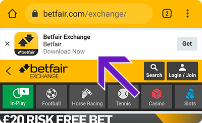 How to download Betfair