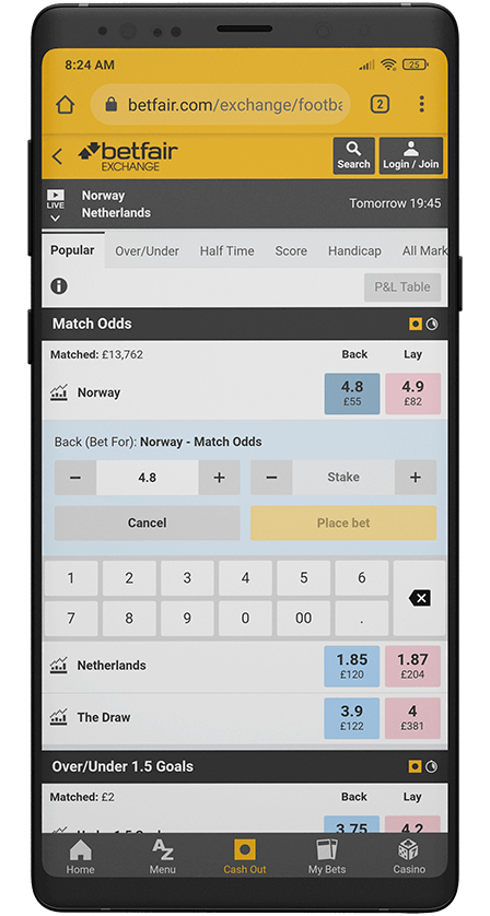 Betfair betting screen