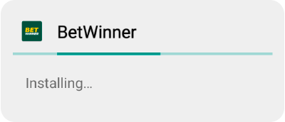 Betwinner App Installation Process