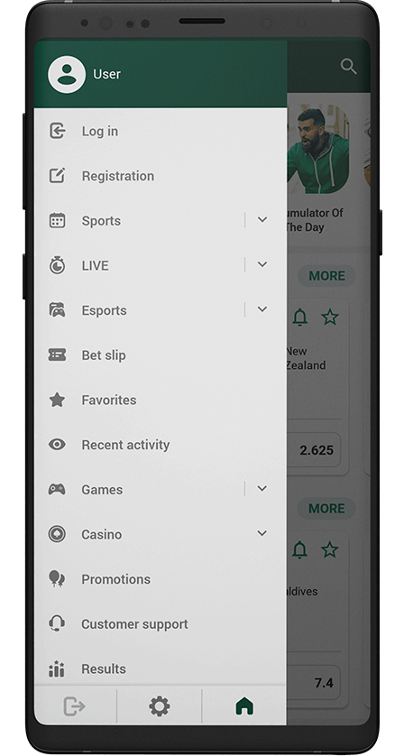 Betwinner app menu
