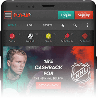 Pinup Bet Mobile Website